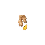 Ingwerwurzel (bio)