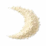 Lactobacillus jensenii